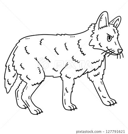 Forest Animal Golden Jackal Isolated Coloring Page Forest Animal Golden Jackal Isolated Coloring Page 127791621