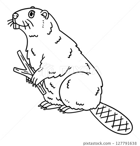 Forest Animal Beaver Isolated Coloring Page  127791638