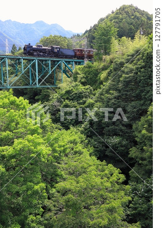 Chichibu Railway "SL Paleo Express running on a mountain bridge in early summer" 127791705