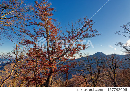 Mt. Hirugatake seen from the ridgeline of Tanzawa-Hinokihoramaru in late autumn Mt. Hirugatake seen from the ridgeline of Tanzawa-Hinokihoramaru in late autumn 127792006