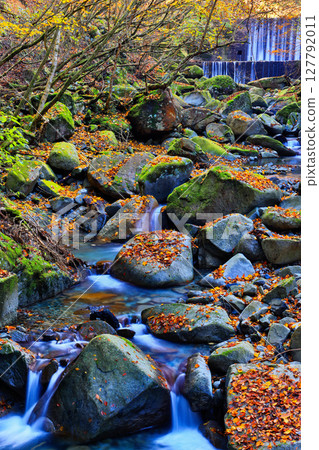 西丹澤橫澤川的秋色 西丹澤橫澤川的秋色 127792011