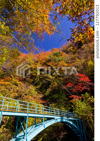 Autumnal scenery at the Yokizawa Bridge in Nishitanzawa 127792013