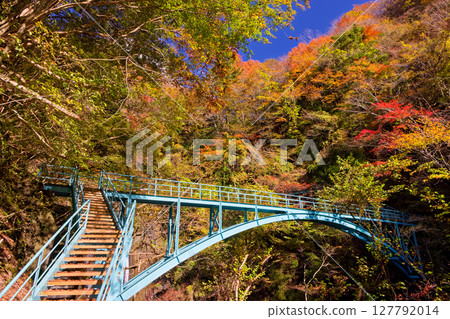 Autumnal scenery at the Yokizawa Bridge in Nishitanzawa 127792014