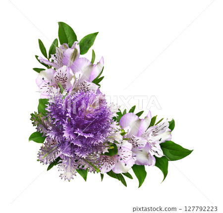 Purple ornamental kale, alstroemeria and green leaves in a floral corner arrangement isolated on white 127792223