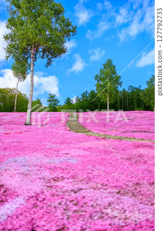 粉紅色地毯和通往天空的道路 127792735
