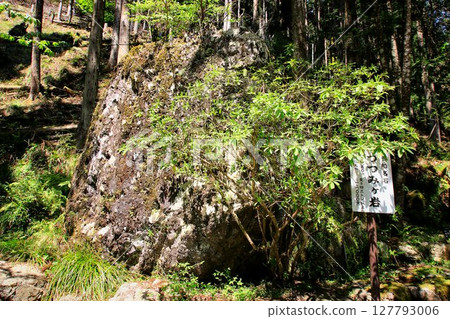 Located along the Kibune River, the source of the Kamo River in Kyoto... 127793006