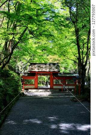 位於京都鴨川源頭貴船川沿岸... 位於京都鴨川源頭貴船川沿岸... 127793007