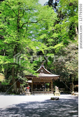 Located along the Kibune River, the source of the Kamo River in Kyoto... 127793050