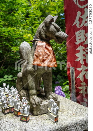 Inari fox statue at Sasuke Inari-jinja in Kamakura, Japan 127793080