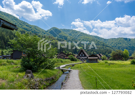 Traditional rice fields and gassho houses in Shirakawa-go village, Japan Traditional rice fields and gassho houses in Shirakawa-go village, Japan 127793082