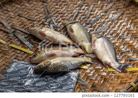 Fresh fish at Pasar Bolu market in Rantepao, Toraja, Sulawesi, Indonesia Fresh fish at Pasar Bolu market in Rantepao, Toraja, Sulawesi, Indonesia 127793101