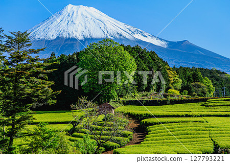 Blue sky and green gradation Blue sky and green gradation 127793221