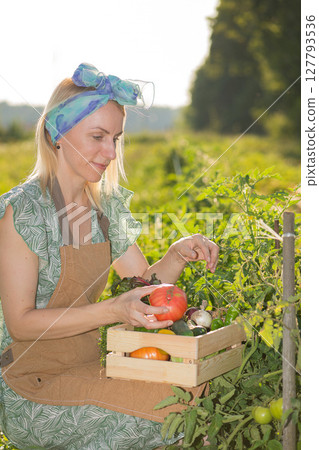 Portrait of beautiful woman picking up vegetables in garden 127793536