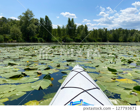 Kayaking Through Peaceful River in European Wilderness 127793671