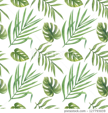 Tropical leaves watercolor seamless pattern isolated background. Hand painted monstera, philodendron, areca palm leaf illustration for wallpaper, textile design, packaging, summer decor 127793839