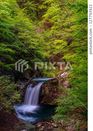 A mysterious waterfall surrounded by forest 127793922