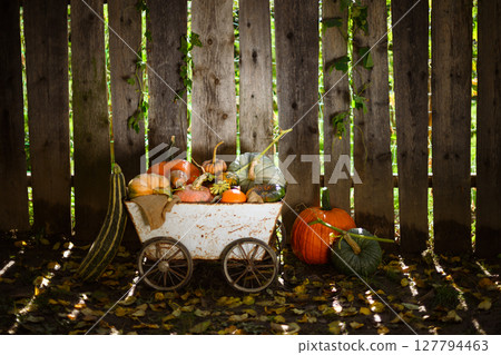 Assorted pumpkins stacked on old metal cart near wooden picket fence Assorted pumpkins stacked on old metal cart near wooden picket fence 127794463