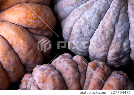 Close-up of uneven skin on Black Futsu pumpkins 127794475