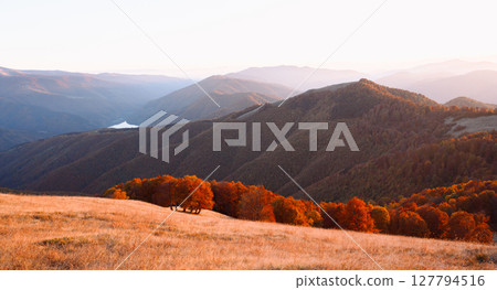 Red beech trees in autumn mountains glow under warm sunset light 127794516