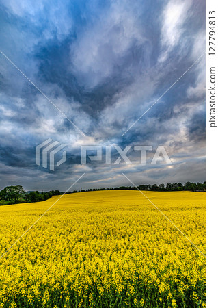 Abira Town, Hokkaido: A colorful panorama painted by nature 127794813
