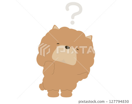 Chow Chow with a confused expression Chow Chow with a confused expression 127794830