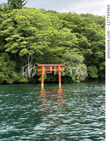 湖中的小鳥居 湖中的小鳥居 127794968