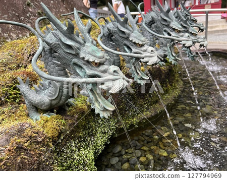 箱根神社九頭龍神社:龍神水 箱根神社九頭龍神社:龍神水 127794969