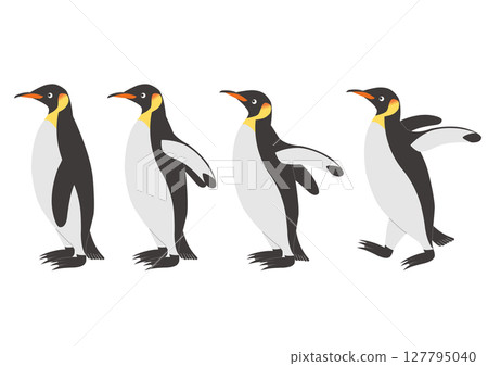 Set of emperor penguin illustrations looking sideways 127795040