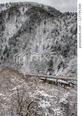 The Akita Komachi Shinkansen train runs through the silvery white mountains The Akita Komachi Shinkansen train runs through the silvery white mountains 127795309