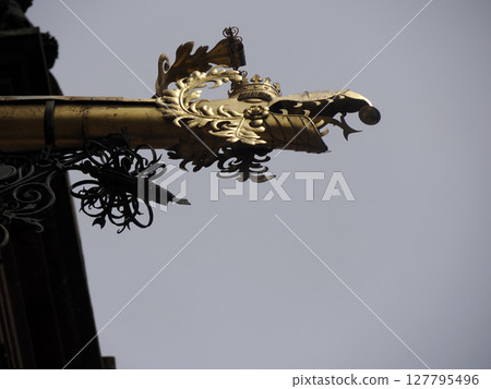 gutter of Ancient Heidelberg medieval castle in Germany gutter of Ancient Heidelberg medieval castle in Germany 127795496
