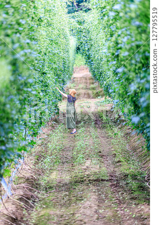 Spending time at the farm, a summer day in touch with nature Spending time at the farm, a summer day in touch with nature 127795519