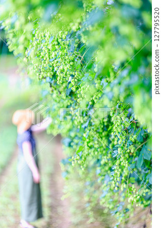 Relaxing time spent in a field surrounded by greenery Relaxing time spent in a field surrounded by greenery 127795520
