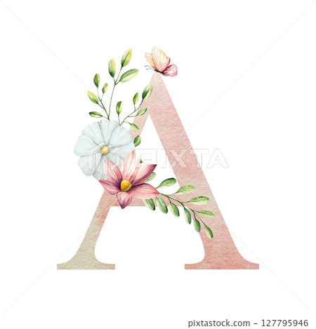 Watercolor letter A with floral ornament and soft foliage, gerbera, chamomile, echinacea. Delicate hand drawn butterfly and botanical elements in elegant.Transparent PNG, perfect for wedding monogram 127795946