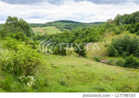 mountainous countryside of ukraine in summer. cloudy afternoon. landscape with green pasture and forest on the hill. rural scenery in the outskirts of svalyava district 127796585