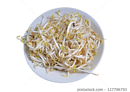 Beansprout in white plate 127796793