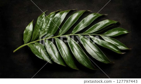 Green Leaf Lies on Dark Background with Water Droplets, Symbolizing Freshness and Nature's Beauty. 127797443