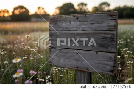 Blank weathered wooden signpost surrounded by wildflowers in peaceful countryside meadow 127797558