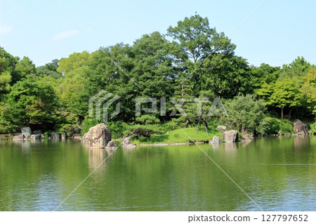 滋賀縣，琵琶湖文化公園的夏季日本花園 127797652