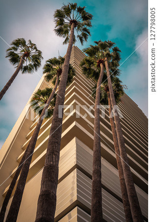 Hollywood streetscape in Los Angeles, USA 127798005