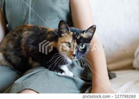 Happy cat portrait close-up with owner indoor 127798260
