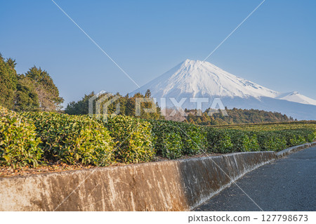 Scenery of Obuchisaba in Fuji City (Shizuoka Prefecture) 127798673