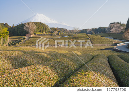 Scenery of Obuchisaba in Fuji City (Shizuoka Prefecture) Scenery of Obuchisaba in Fuji City (Shizuoka Prefecture) 127798708