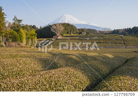 Scenery of Obuchisaba in Fuji City (Shizuoka Prefecture) 127798709