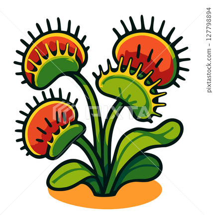 Venus flytrap. Dionaea muscipula. Bright vector isolated illustration Venus flytrap. Dionaea muscipula. Bright vector isolated illustration 127798894