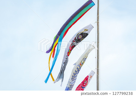 鯉魚stream在藍藍的天空中游泳 鯉魚stream在藍藍的天空中游泳 127799238