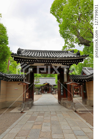 Kumata Shrine, Main Hall, Hirano Ward, Osaka Prefecture 127799631
