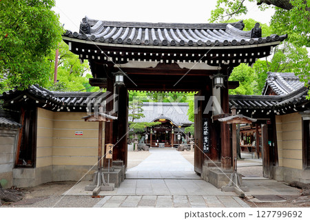 Kumata Shrine, Main Hall, Hirano Ward, Osaka Prefecture Kumata Shrine, Main Hall, Hirano Ward, Osaka Prefecture 127799692