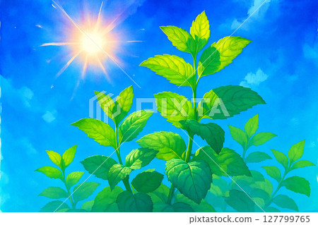 樹葉透明的陽光 樹葉透明的陽光 127799765