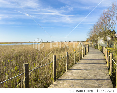Barrinha of Esmoriz, situated between the municipalities of Espinho and Ovar, Portugal. 127799924