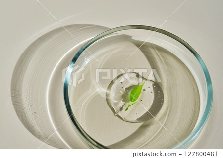 A delicious drop of serum with a leaf in a petri dish. 127800481